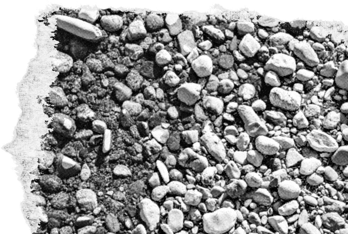 Header image 4