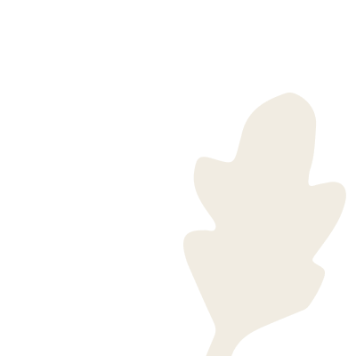 Leaf 2x