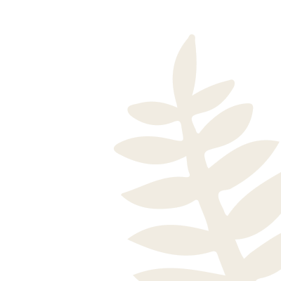Sprig 2x